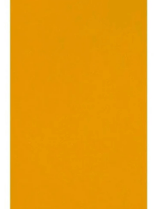 Jessup school bus yellow 9.0