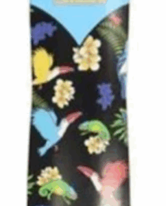LAYBACK PARADISE DROP THROUGH LONGBOARD COMPLETE 9.50 X 40.00
