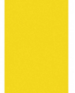 MOB GRIP 9" COLORS YELLOW